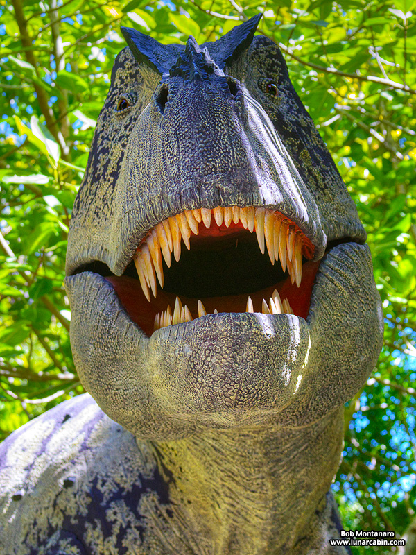 mckee_dinosaurs_160419_15
