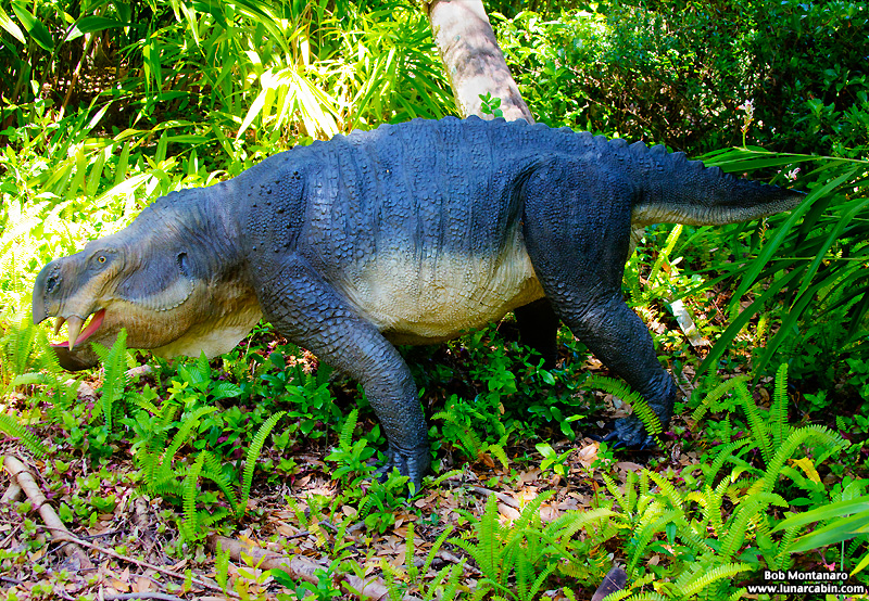 mckee_dinosaurs_160419_18