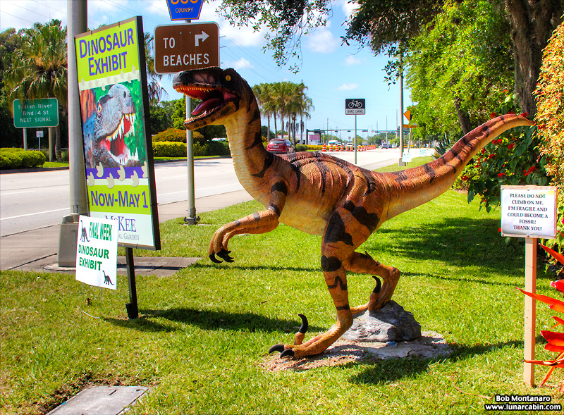 mckee_dinosaurs_160419_1_1