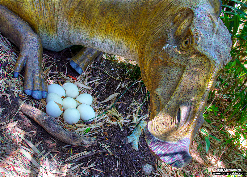 mckee_dinosaurs_160419_20