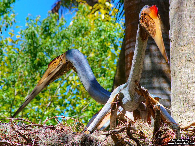 mckee_dinosaurs_160419_21