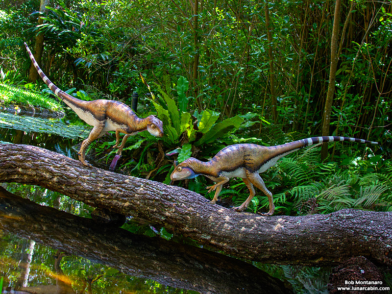 mckee_dinosaurs_160419_22