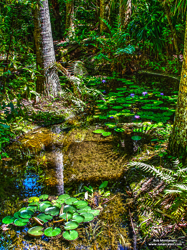 mckee_dinosaurs_160419_27