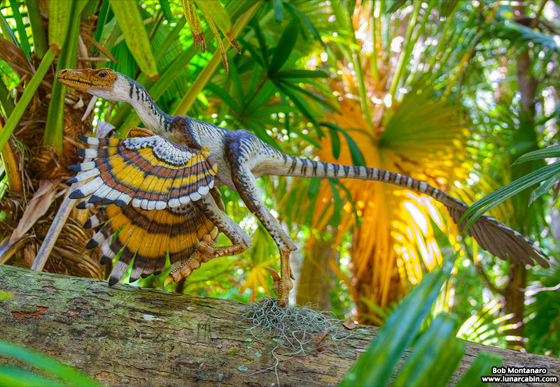 mckee_dinosaurs_160419_28