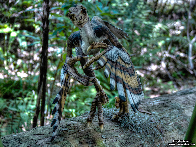 mckee_dinosaurs_160419_29