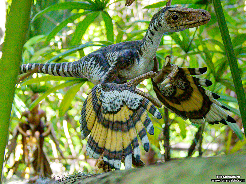 mckee_dinosaurs_160419_30