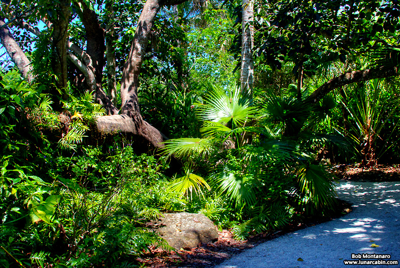 mckee_dinosaurs_160419_31