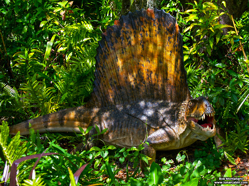 mckee_dinosaurs_160419_34