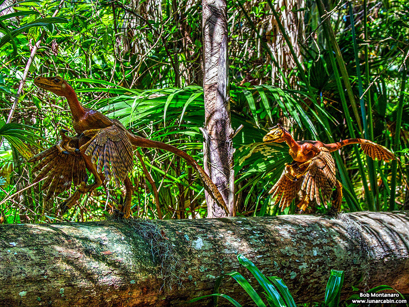 mckee_dinosaurs_160419_36