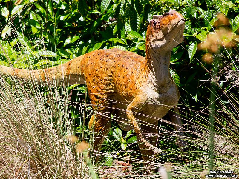 mckee_dinosaurs_160419_38