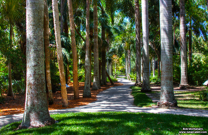 mckee_dinosaurs_160419_39