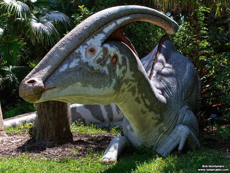 mckee_dinosaurs_160419_4