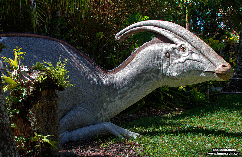 mckee_dinosaurs_160419_5