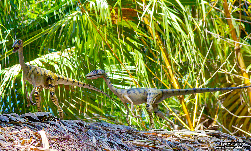 mckee_dinosaurs_160419_9