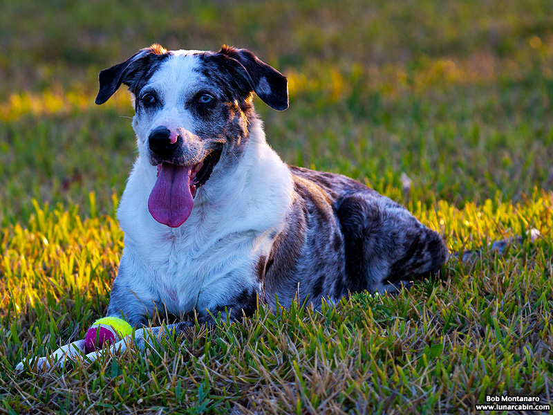 sunday_stroll_160515_12