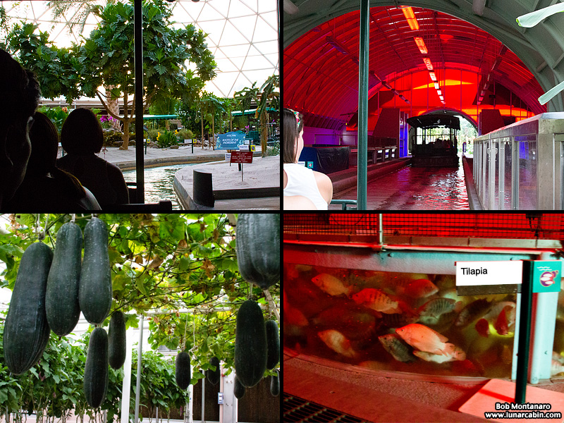 epcot_random_160923_11