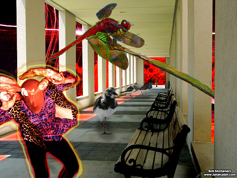 Dance of the Insect People – Range Tracking
